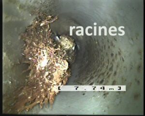 racines